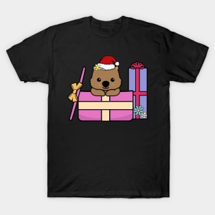 Christmas Wombat in a Present T-Shirt